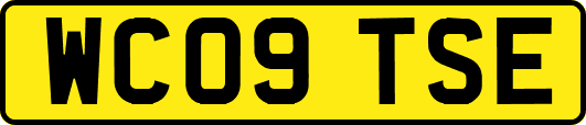 WC09TSE