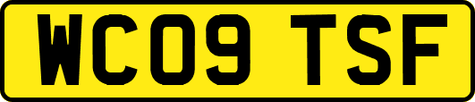 WC09TSF