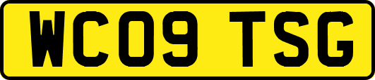 WC09TSG