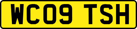 WC09TSH