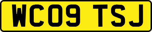 WC09TSJ