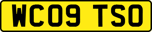 WC09TSO
