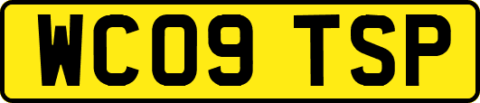 WC09TSP