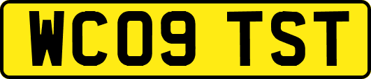 WC09TST