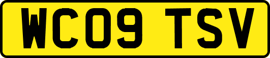 WC09TSV