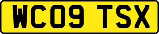 WC09TSX
