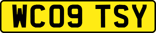 WC09TSY
