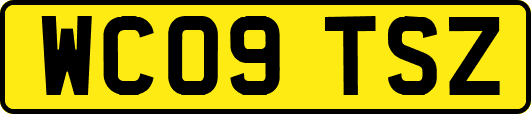 WC09TSZ