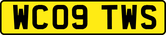 WC09TWS