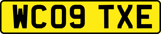 WC09TXE