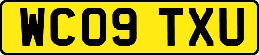 WC09TXU