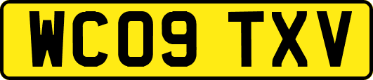 WC09TXV