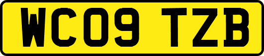 WC09TZB