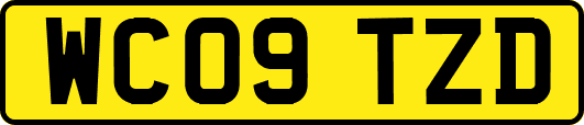 WC09TZD