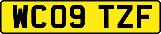 WC09TZF