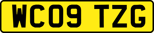 WC09TZG