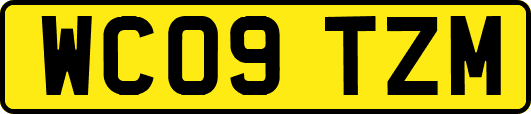 WC09TZM