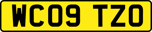 WC09TZO