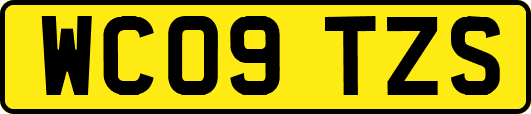 WC09TZS