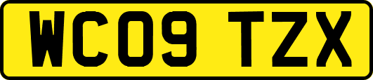 WC09TZX