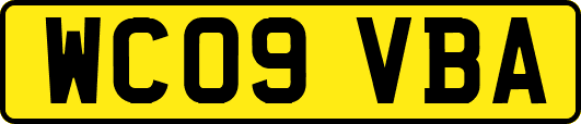 WC09VBA