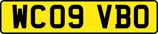 WC09VBO