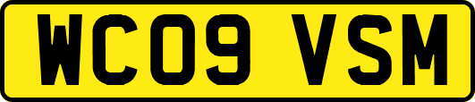 WC09VSM