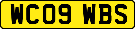 WC09WBS