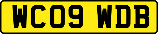 WC09WDB