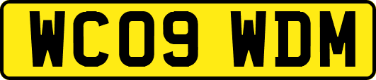 WC09WDM