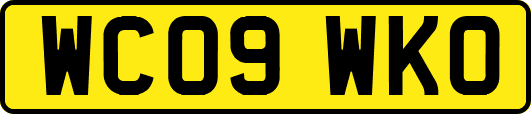 WC09WKO