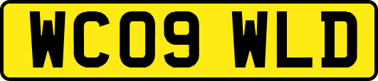 WC09WLD