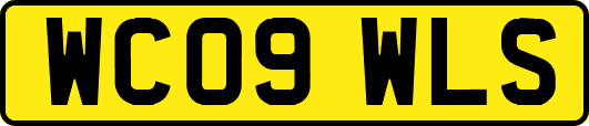 WC09WLS