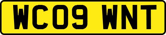 WC09WNT
