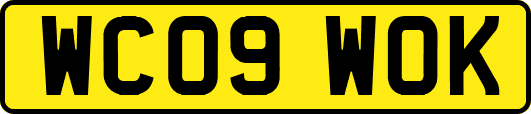 WC09WOK