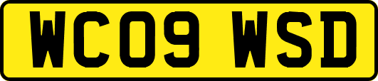 WC09WSD