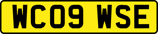 WC09WSE