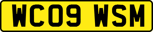 WC09WSM