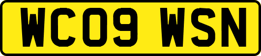 WC09WSN