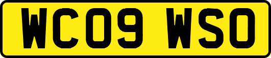 WC09WSO