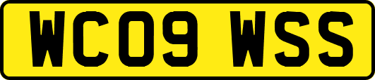 WC09WSS