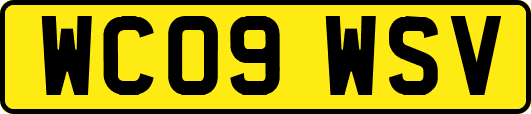 WC09WSV