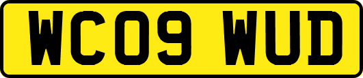 WC09WUD