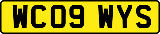 WC09WYS