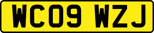 WC09WZJ