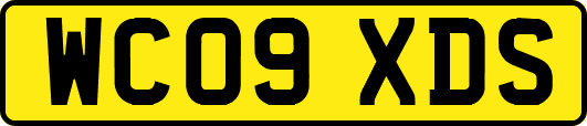WC09XDS