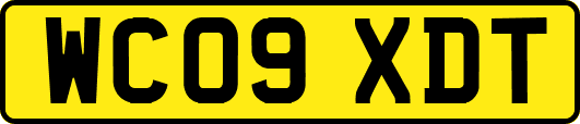 WC09XDT