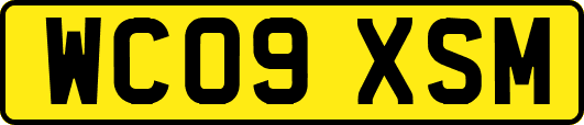 WC09XSM