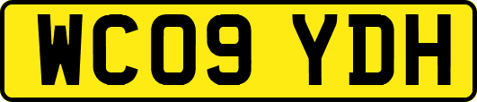 WC09YDH