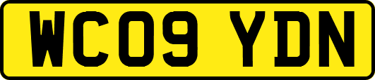WC09YDN